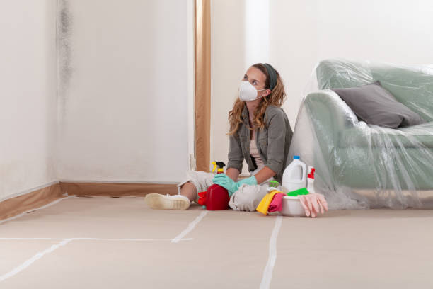 Reliable Mold Removal contractor in Murfreesboro, NC by WQB Mold Removal